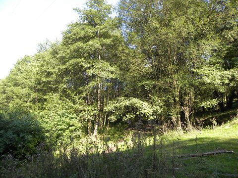 Foto 13